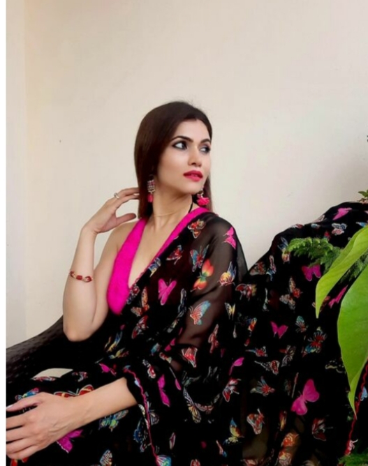 Butterfly Embroidered Zarna Silk Sarees – SVB Ventures